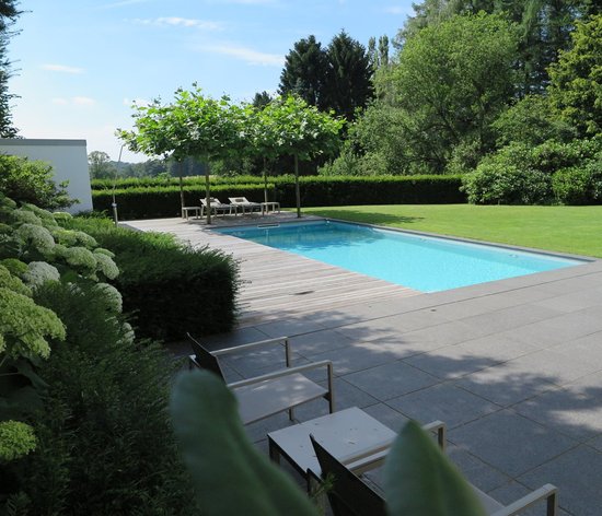 Ein formaler Garten mit rechteckigem Pool, immergrünen Hecken und weißen Hortensien