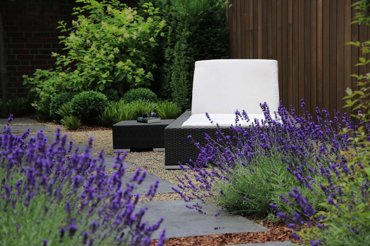 Lieblingsplatz mit Gartenliege aus schwarzem Rattan und mit weißem Polster umgeben von Lavendel und Formgehölzen