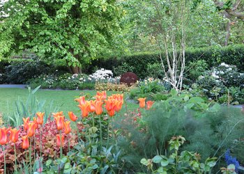 Gartentypenkonzept Genießer mit üppigem Staudenbeet und Tulpen
