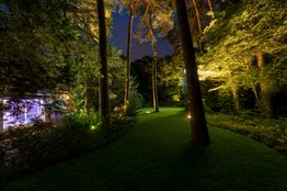 Lichtplanung mit Bodenstrahlern für Bäume