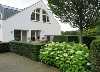Gartentypenkonzept Designfreund mit geometrischen Formgehölrzen und weißen Hortensien