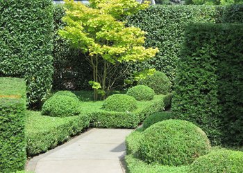 Gartentyp Ästhet geometrische Bepflanzung mit Buchsbaum und Eibenhecken