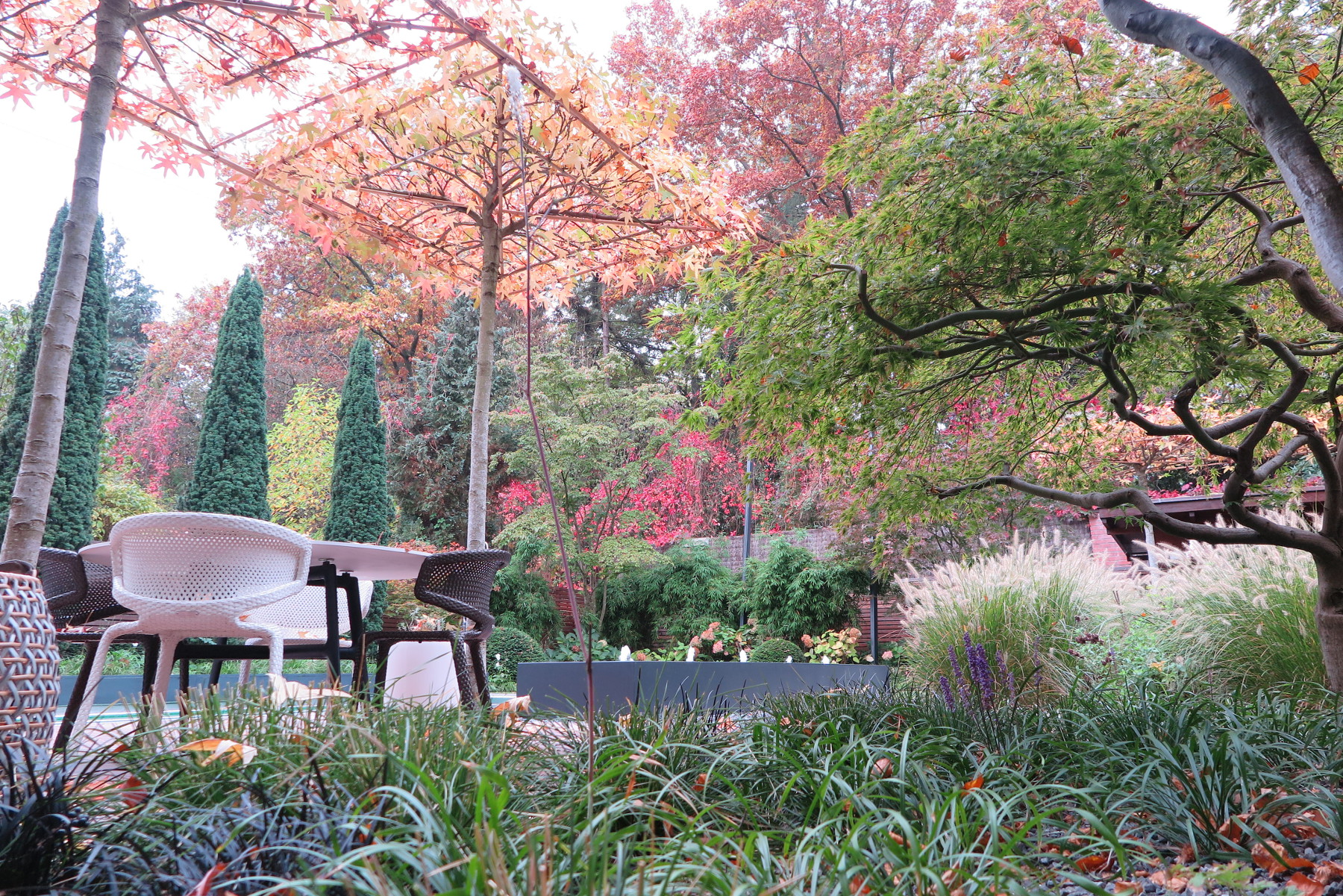 Sitplatz im Garten mit Amberbäumen in Herbstfärbung