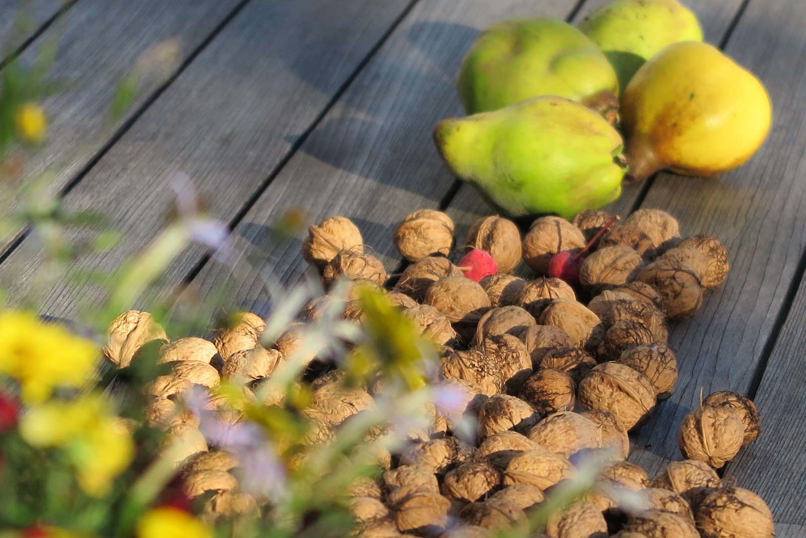 Birnen und Nüsse auf einem Gartentisch