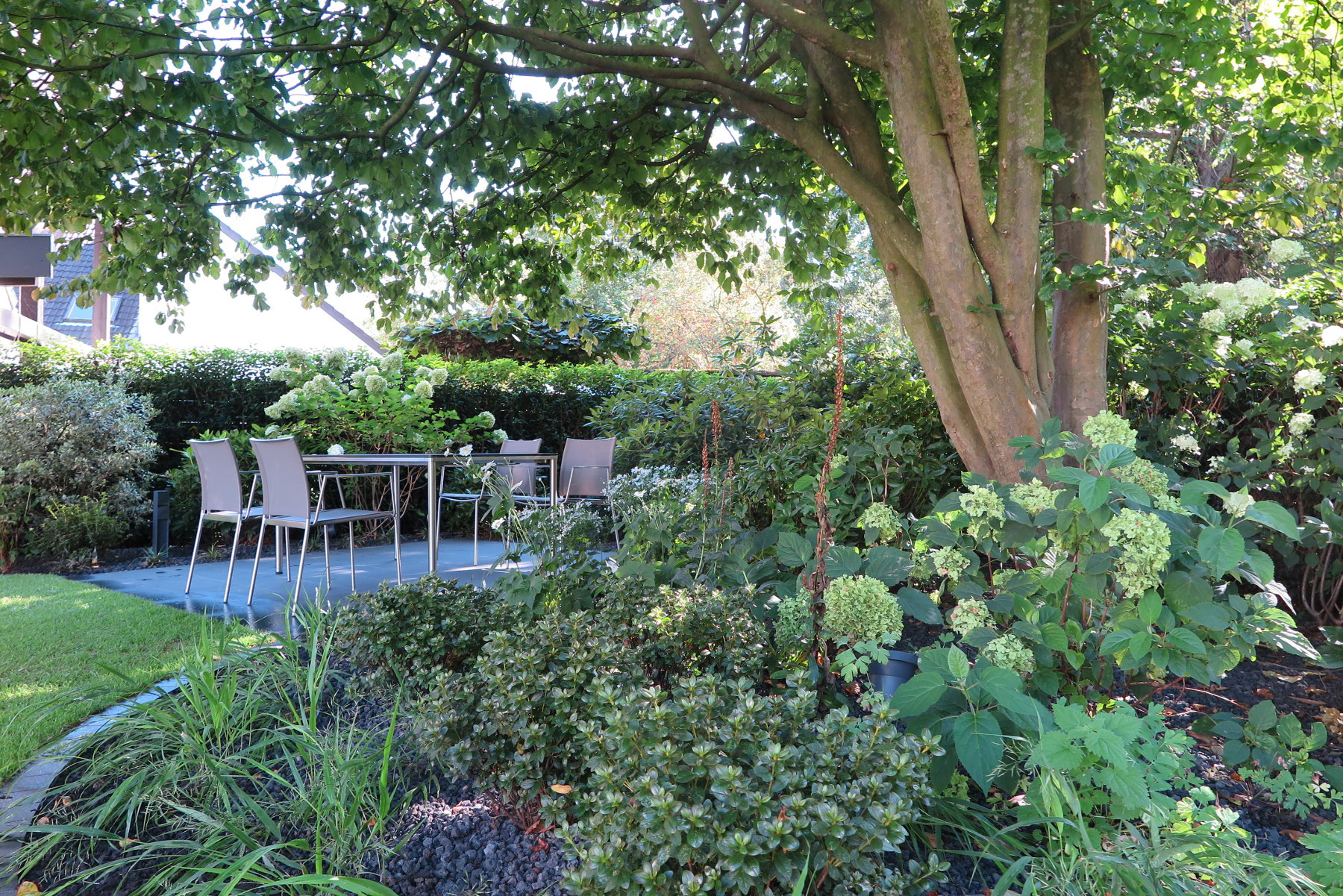 Schattiger Garten mit Sitzplatz unter altem Baum und üppiger Bepflanzung Unter einem großen Baum liegt ein gepflegter Garten mit Sitzgruppe, dichtem Grün, Hortensien und einer ruhigen Terrasse im Schatten.