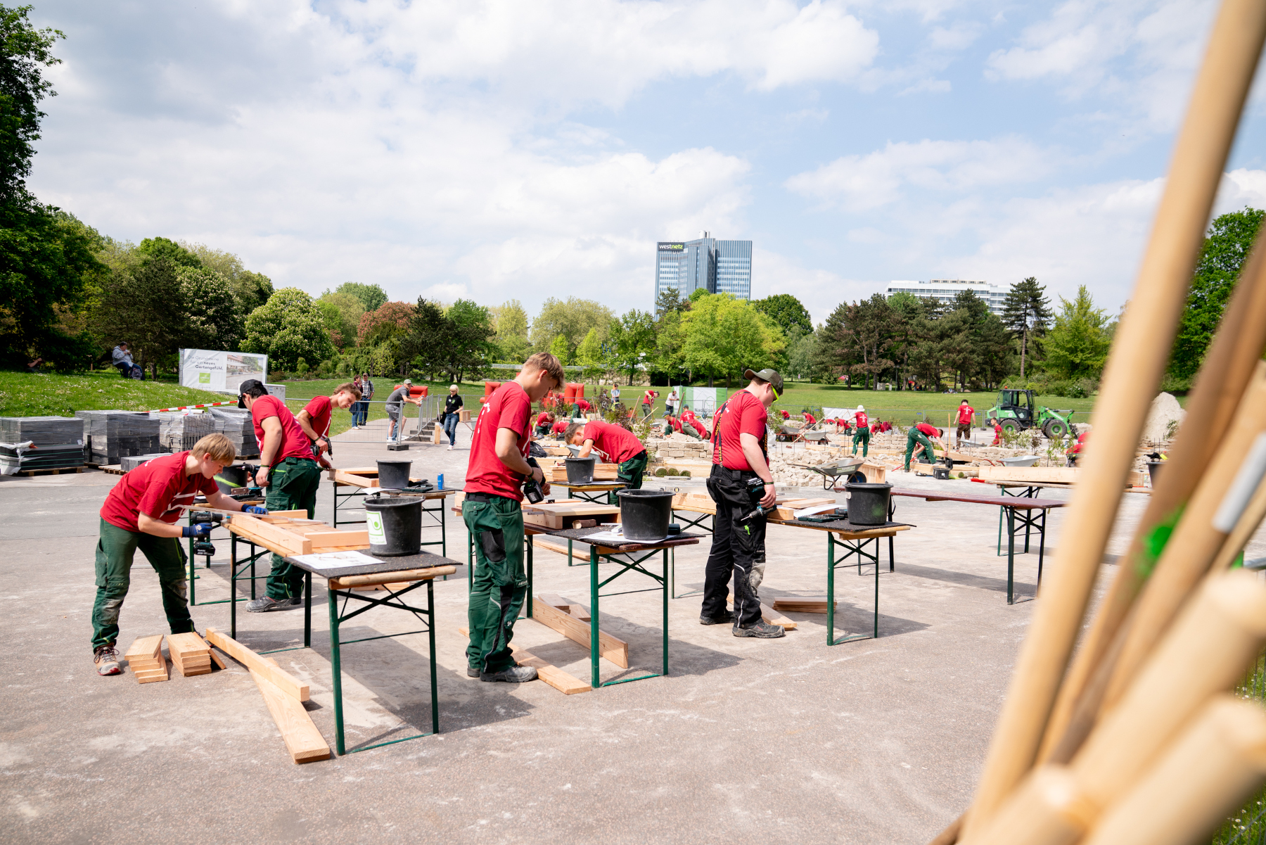 Landschaftsbau-Team im Park, Holzarbeiten beim Wettbewerb unter freiem Himmel Verschiedene Beerensträucher, darunter Sanddorn, Hagebutte, Eberesche und Liguster, in unterschiedlichen Farben.