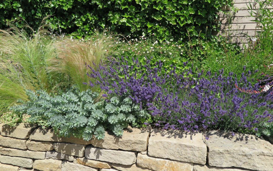 Klimaanlage Garten